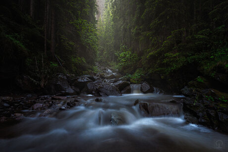 Shadow Creek