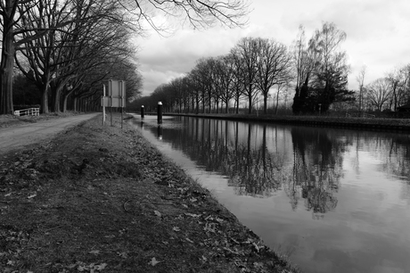 Om en bij "Brug Groene woud"