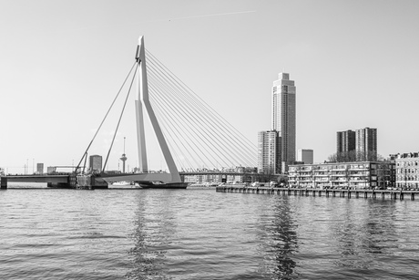 Authentiek Rotterdam Erasmusbrug