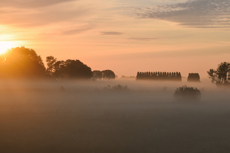 Zonsopkomst Ijsseldelta