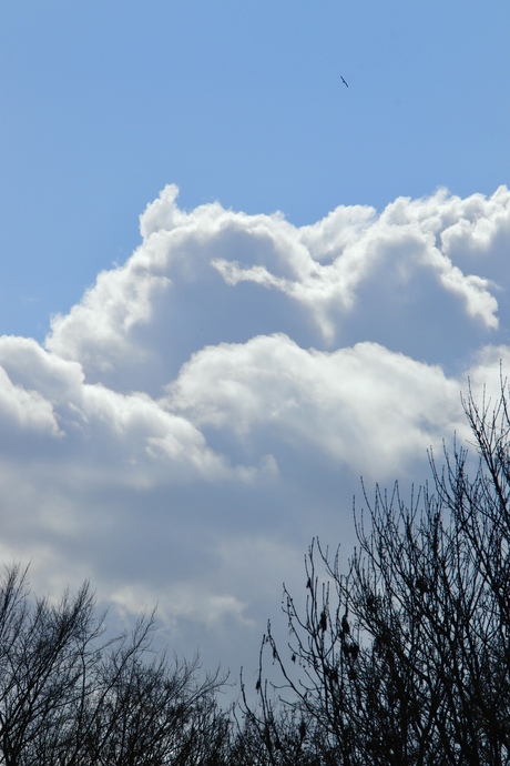 wolkenpracht