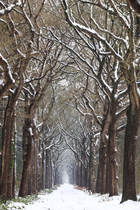 Winter laantje ..