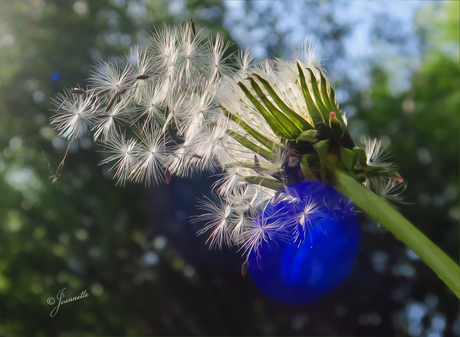 Lensflare.