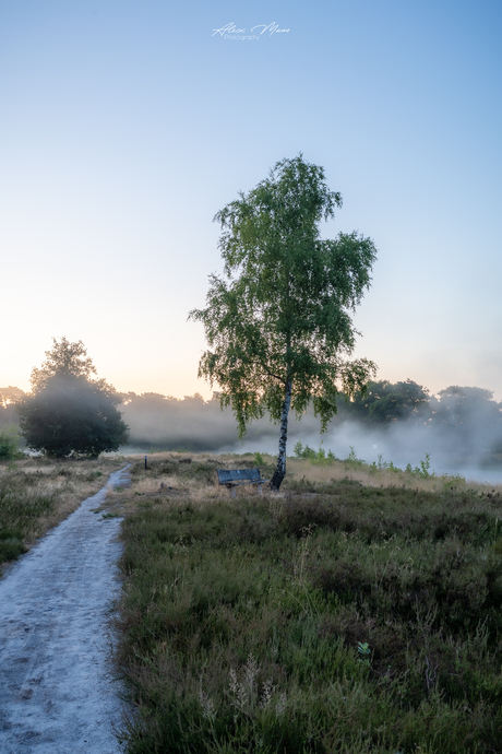 Heide