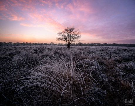 Goodbye autumn, hello winter!