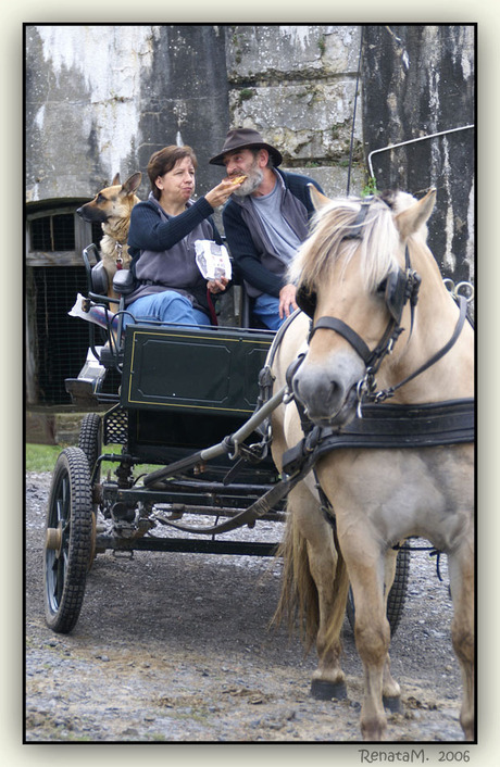 Na de paardenwijding