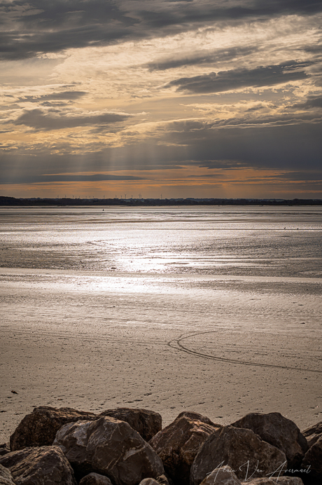 op een late namiddag