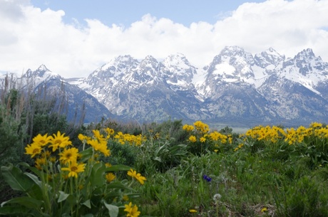 Grand Teton mountains