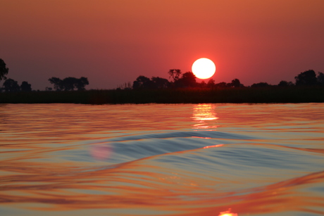 SUNSET CHOBE