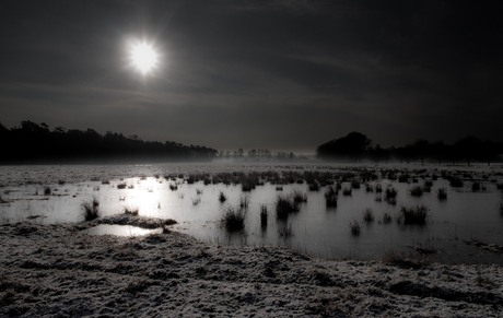 Vennetje bij Zutphen