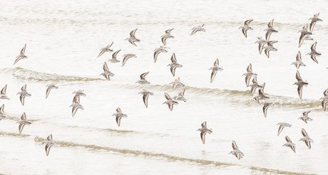 Eens op een andere manier fotograferen