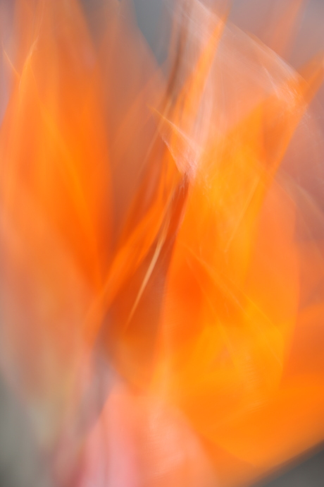 Abstract