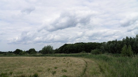 Dreigend