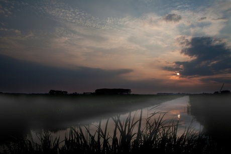 misty farmland