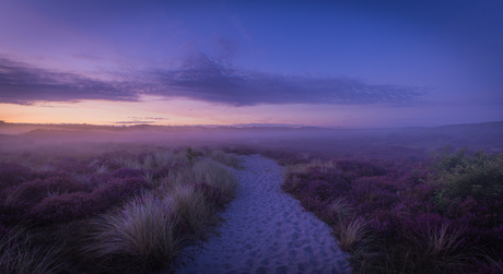 zandpad tussen de heide