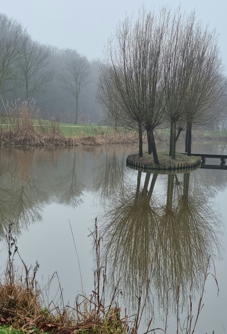 Het parkje van de reiger in de mist( zie vorige foto)