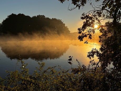 goedemorgen