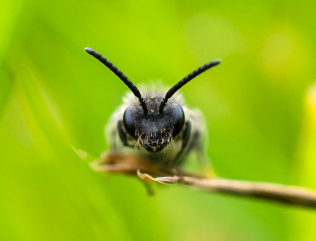 Kijk me diep in de ogen!