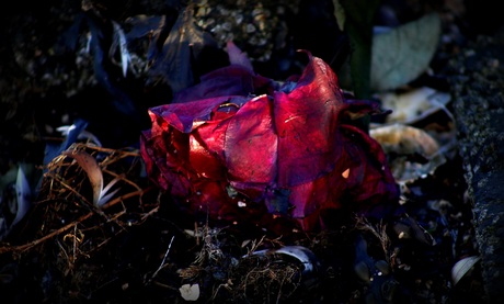 Het verhaal................