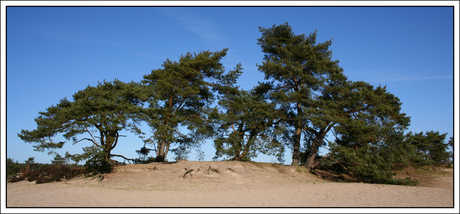 Soester Duinen