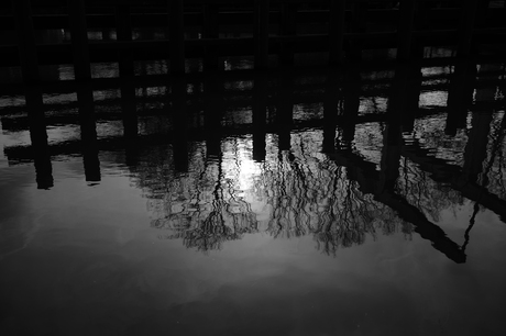 Om en bij "Brug Groene woud"