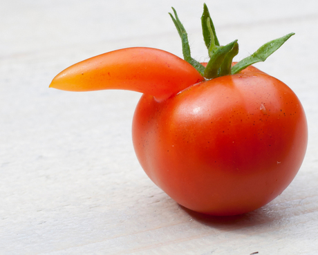 Misvormd cherry tomaatje