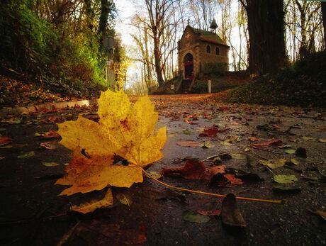 Wandeling