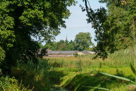 Doorkijkje naar Nederwetten