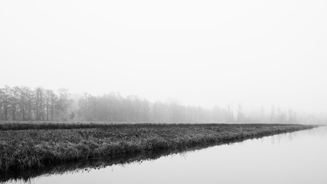 Mist  in de Goudse Hout 1