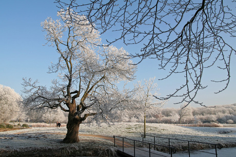 Winterwandeling