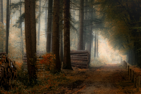 De kracht van de Stilte