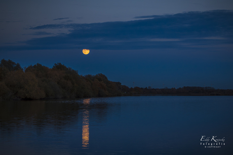 Reflecie van de Bevermaan. 