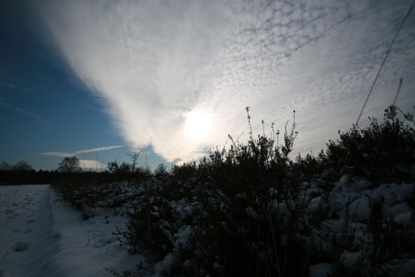 Winter heide 2012