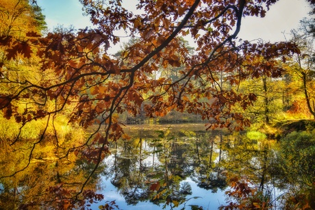 Herfstkleuren en weerspiegelingen