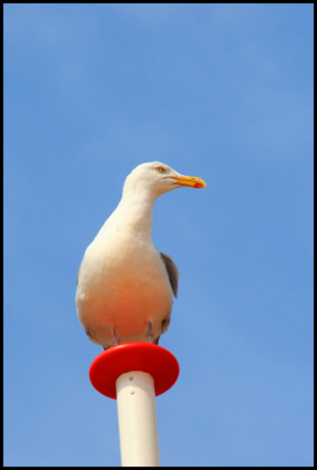 Op de uitkijk