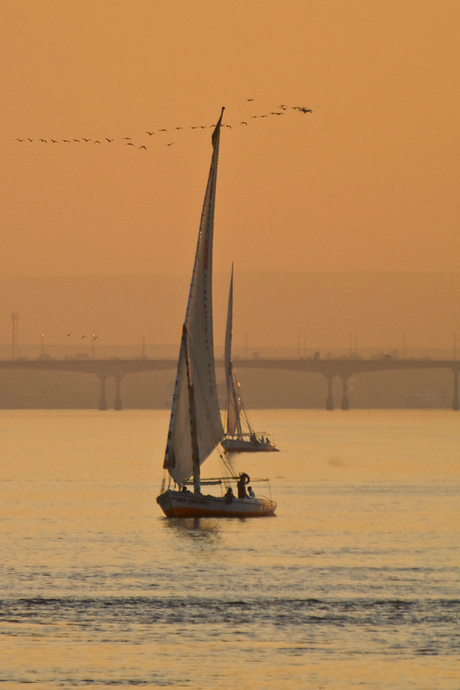 Felucca's op de Nijl