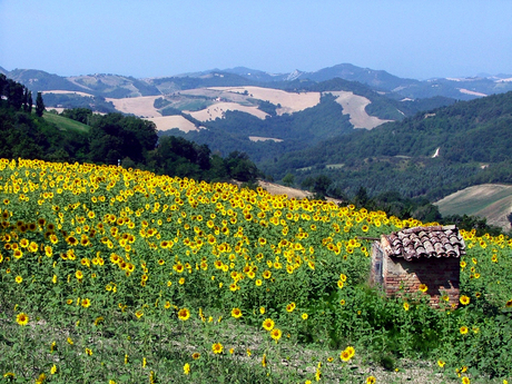 Landschap Italie