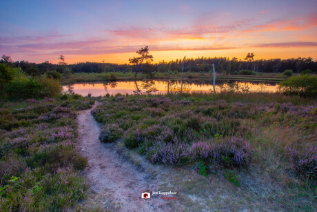 Path to the reflection