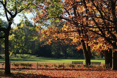 Herfstkleuren 2012