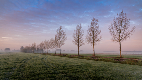 Koude zonsopgang 