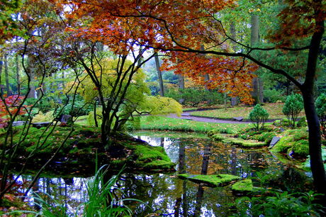 Japanse tuin Den Haag
