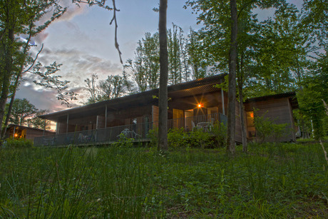 House in the forrest