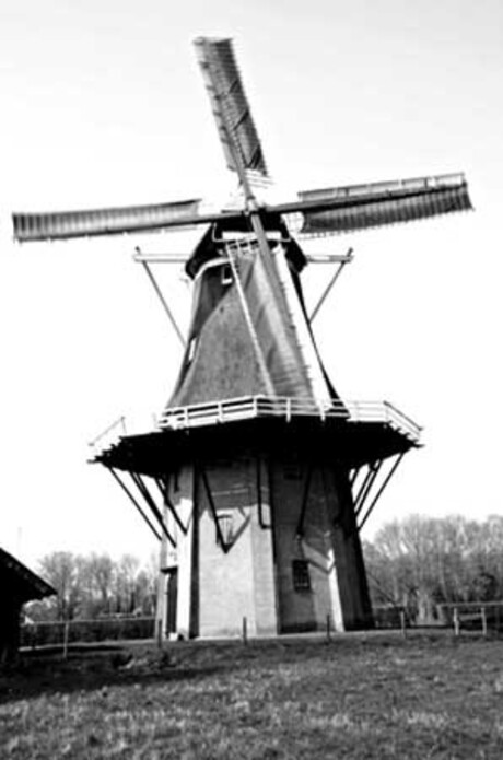 Molen de Star