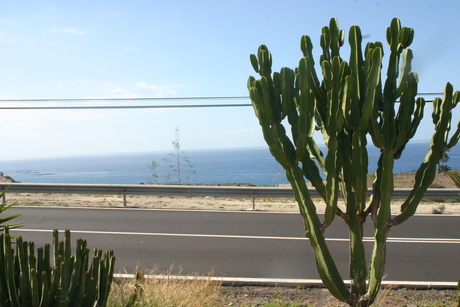 Tenerife