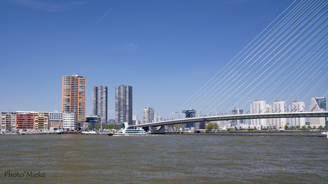 Rotterdam