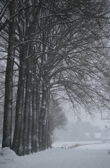 Winter in Gelderland