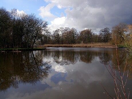 SCHIEDAM BEATRIXPARK 24-02-2016