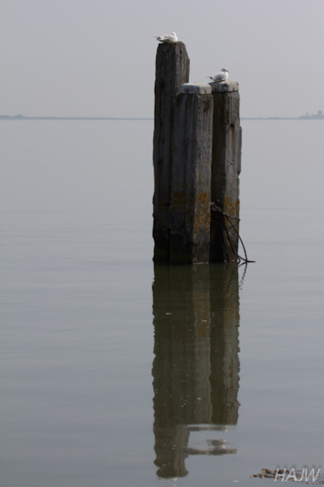 Waddenzee