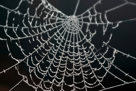 web