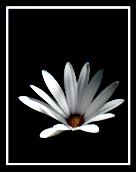 Margriet in the Dark